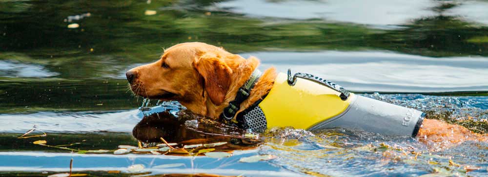 chaleco salvavidas para perro actividad kayak