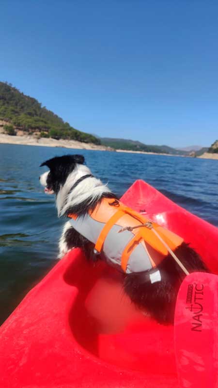 kayak con perro madrid pantano embalse san juan h2o aventura